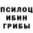 Псилоцибиновые грибы Psilocybe Robert Baidan