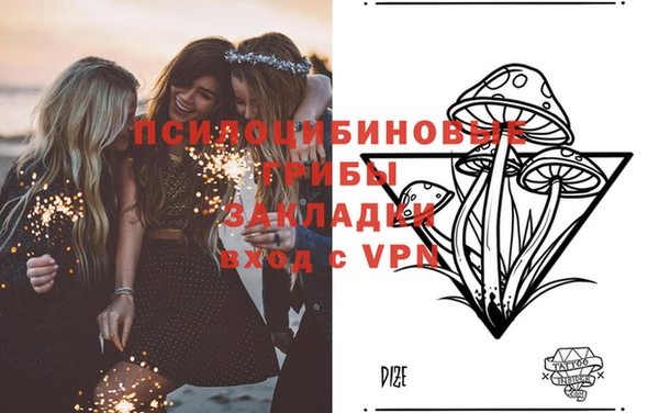 мдпв Армянск