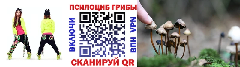 Галлюциногенные грибы GOLDEN TEACHER Каспийск
